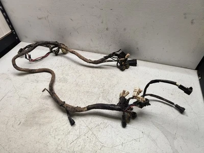 Yamaha Wolverine 450 YFM450 2006 4x4 OEM arnés de cableado cable principal telar cables Foto 1 de 4