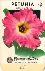 Paquete de semillas vintage: PETUNIA, Lagomarsino & Sons, Sacramento, años 40 - Imagen 1 de 2