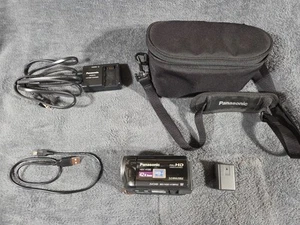 Panasonic HDC-HS80 Hand Held HD Sd Camcorder With Battery Bad And Cord Tested - Picture 1 of 12
