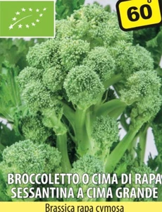 SEMI SEMENTI CIMA DI RAPA SESSANTINA A CIMA GRANDE BIOLOGICI BIO 10 KG - Foto 1 di 1