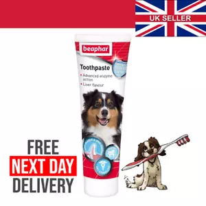 Enzymatic Dog Toothpaste Beaphar For Dogs Cat Anti Plaque Tartar Liver Flavour - Picture 1 of 2