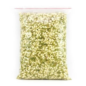 Té orgánico de flores de jazmín brotes secos florales té de fragancia natural a base de hierbas # - Imagen 1 de 9