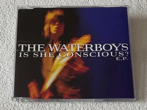 WATERBOYS ~ IS SHE CONSCIOUS? EP ~ 2000 UK 6-TRACK CD SINGLE + CD-ROM VIDEO - Picture 1 of 5