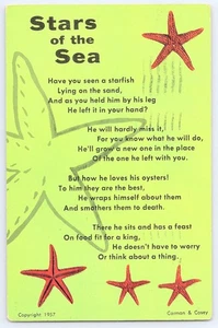 1957 Sterne des Meeres Seesterne Postkarte Carman & Casey Fort Myers Florida gebraucht - Bild 1 von 2