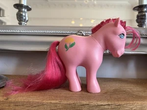My little pony MLP G1 Hasbro fiore nascita alternativo novembre vintage 🌺 stupendo - Foto 1 di 12