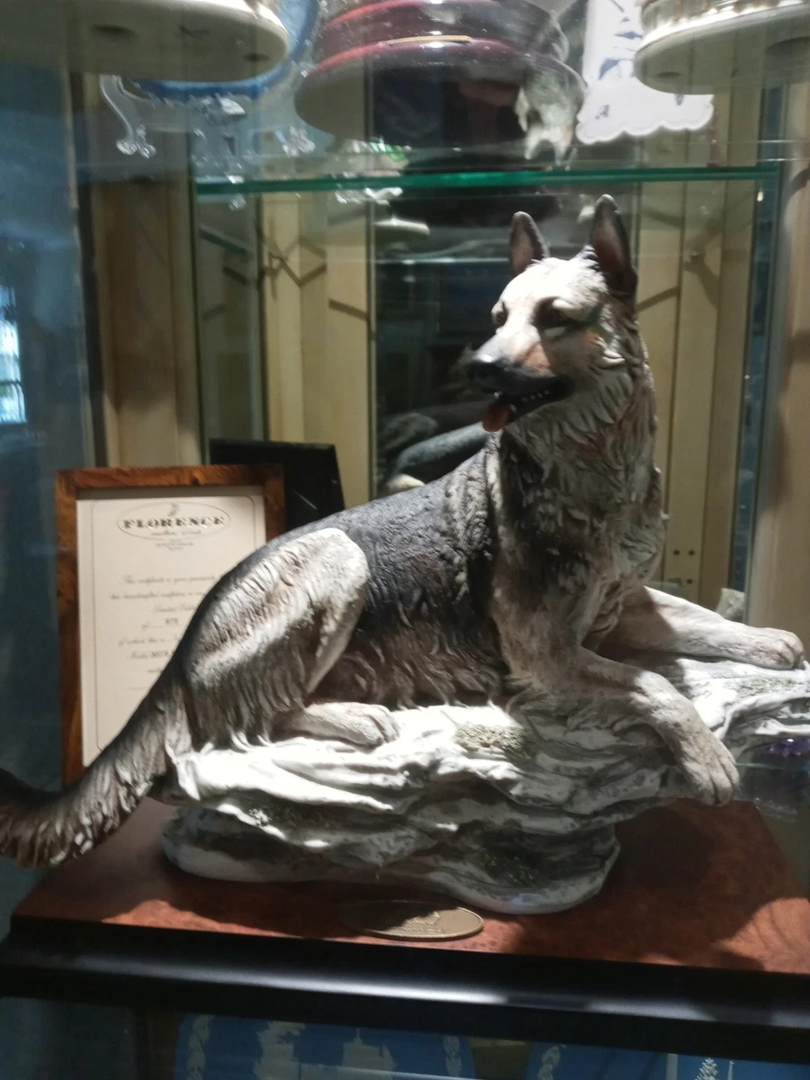 Armani Dog for sale | eBay