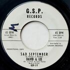 David & Lee 45 Sad September / Tryin' To Be Someone - 1962 Teener - HEAR
