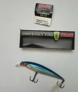 Rapala, X10 Jerkbait / Esca a manovella - Colore tonalità = Ombra / Blu - Affetta da pesca - Foto 1 di 1