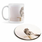 Mug & Round Coaster Set - Pretty Maine Coon Cat Kitten #21108