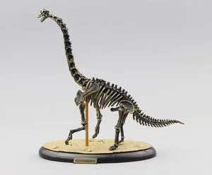 Dinosaurier Knochen Stegosaurus Brachiosaurus Skelett Fossil 3D Puzzle Spielzeug 3D - Bild 1 von 8