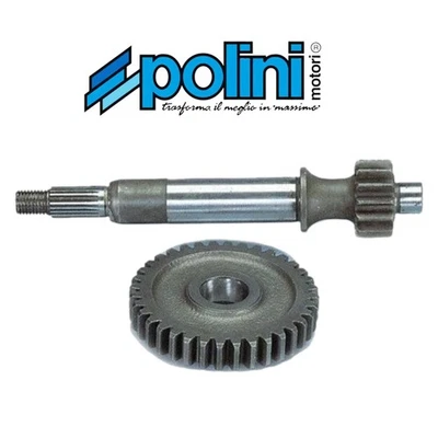 KIT INGRANAGGI TRASMISSIONE POLINI HONDA LEAD 50 2T PEUGEOT METROPOLIS 50 2T - Immagine 1 di 4