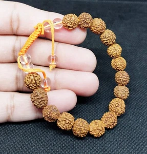 5 Face Rudraksha Bracelet 100% Real 5 Mukhi Rudraksh Wrist Bracelet Energized - Picture 1 of 3
