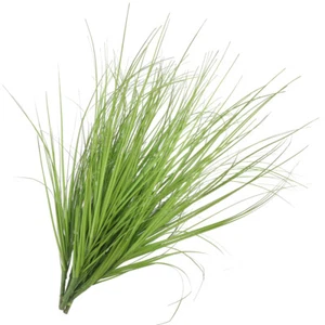 8Pcs Simulation Grass Artificial Grass Decor Vase Filler Flower Arrangement - Picture 1 of 12