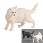  Cat Miniature Interesting Photo Props Toys for Kids Decorate