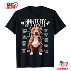 Funny Anatomy Pitbull Dog Cute Pittie Lover Pit Bull Owner T-Shirt