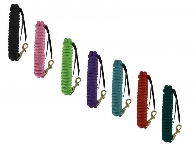 Showman 14' Nylon Pro Trenza Entrenamiento Plomo con Cierre de Latón y Popper de Cuero Foto 1 de 1