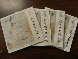 Dunhuang Zhongruan String Set, Strings #1-4, Chinese Guitar Mandolin Strings - Picture 1 of 1