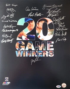 20 GAME WINNERS 16x20 Photo Signed by 19,  Kaat, Niekro, Sutton,Feller, Perry - Picture 1 of 1