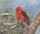 Red bird Scarlet Tanager in the winter original painting on canvas sheet. 