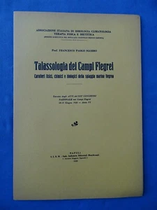 TALASSOLOGIA CAMPI FLEGREI-CARATTERI FISICI-CHIMINI-BIOLOGICI SPIAGGIA FLEGREA.. - Imagen 1 de 1