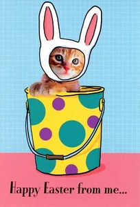 Funny HAPPY EASTER Card, Peter Cat-In-Pail Pun Cute Kitten Rabbit by Hallmark +✉ - Picture 1 of 5
