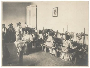 XX3140/ Tesetoria Rumänien  Foto 20 x 15  ca.1910 - Bild 1 von 2