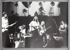 EAGLES – rare original 1976 Asylum/Warner-Pioneer promo poster HOTEL CALIFORNIA - Picture 1 of 5