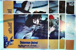 ORIGINAL LOBBY CARDS - DOBERMAN PATROL - 1974 - set of 8 - James Brolin, Sus... - Picture 1 of 1