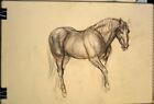 #3 Maureen Love Original Sketches Brown Horses