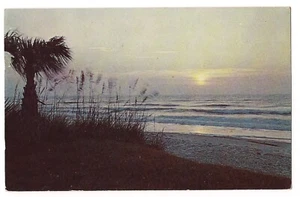 MYRTLE BEACH SUN RISE South Carolina Palm Tree Atlantic Ocean Sea Postcard 1965 - Picture 1 of 2