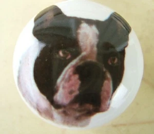 Cabinet Knobs French Bulldog Dog - Picture 1 of 1