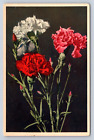Vintage Postcard Floral German 1951 Post Card  