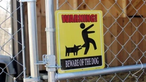 "Warning Beware Of The Dog" 12"x9" Aluminum Sign Made In The USA - NEW - Picture 1 of 5