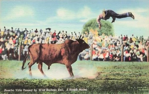 Pancho Villa Tossed by Wild Brahma Bull Rodeo Vintage Unposted PC - Picture 1 of 2