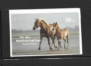 ALEMANIA, (R.F.A.). Año: 2007. Tema: FAUNA. CABALLOS. - Imagen 1 de 1