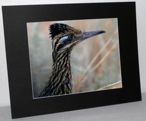 Roadrunner Wildlife Foto 8" x 10" in 11" x 14" schwarz matt signiert von Kim Barry - Bild 1 von 5