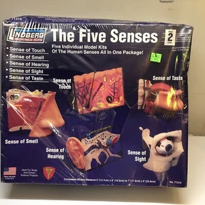 Kit Lindberg Science The Five Senses Modelo Kit - Imagen 1 de 7