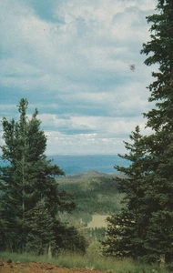 Postcards non-posted White Mountain Northeastern Arizona - Picture 1 of 2