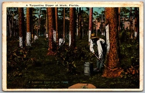 Dipper at Work Turpentine Industry FL postcard - Picture 1 of 2