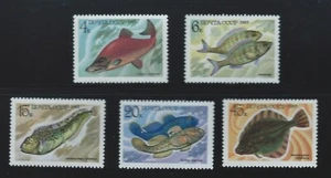 Russia Sc 5164-8 Food Fish Oncorhynchus nerka, Perciformes,Anarhichas minor etc - Picture 1 of 6