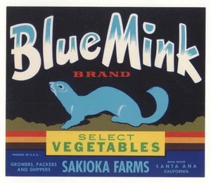 *Original* BLUE MINK Sakioka Farms VEGETABLE Crate SANTA ANA Label NOT A COPY! - Picture 1 of 1