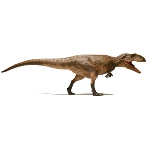 Modelo de mandíbula articulada Giganotosaurus dinosaurio Tyrannosaurus Kin EoFauna - Imagen 1 de 4
