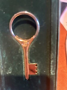 Gucci Key Chain New in Box - Picture 1 of 3