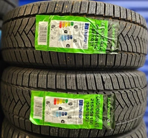 2X NUEVA LANVIGATOR TODA LA TEMPORADA 215/65 R15C 104/102T FURGONETA NIEVE 215 65 15 2156515 C+B - Imagen 1 de 3