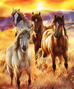 Manta de peluche Queen Horse - Extremadamente suave - Bellezas Sunrise - Imagen 1 de 3