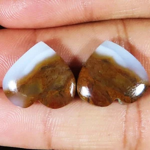 29.50 CT Natural Dendrtic Agate Pair Heart Shape Loose Gemstone 18x17x5 mm sr_56 - Picture 1 of 6