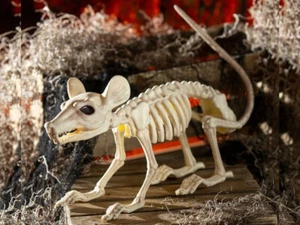Plastic Rat Skeleton Halloween Prop Decor Supplies Haunted House Mouse Graveyard - Picture 1 of 3