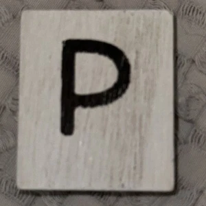 Adams & Co Wood Wooden Message Board Letter Letters WHITE P 1.5 " x 1.75 " - Picture 1 of 1