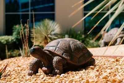 Brown and Black Concrete/MgO Walking Turtle Statue CA-XR2642-1 - Image 1 of 4
