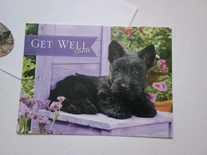 Get Well Soon Greeting Card with Matching Envelope Black Dog Flowers - Picture 1 of 7